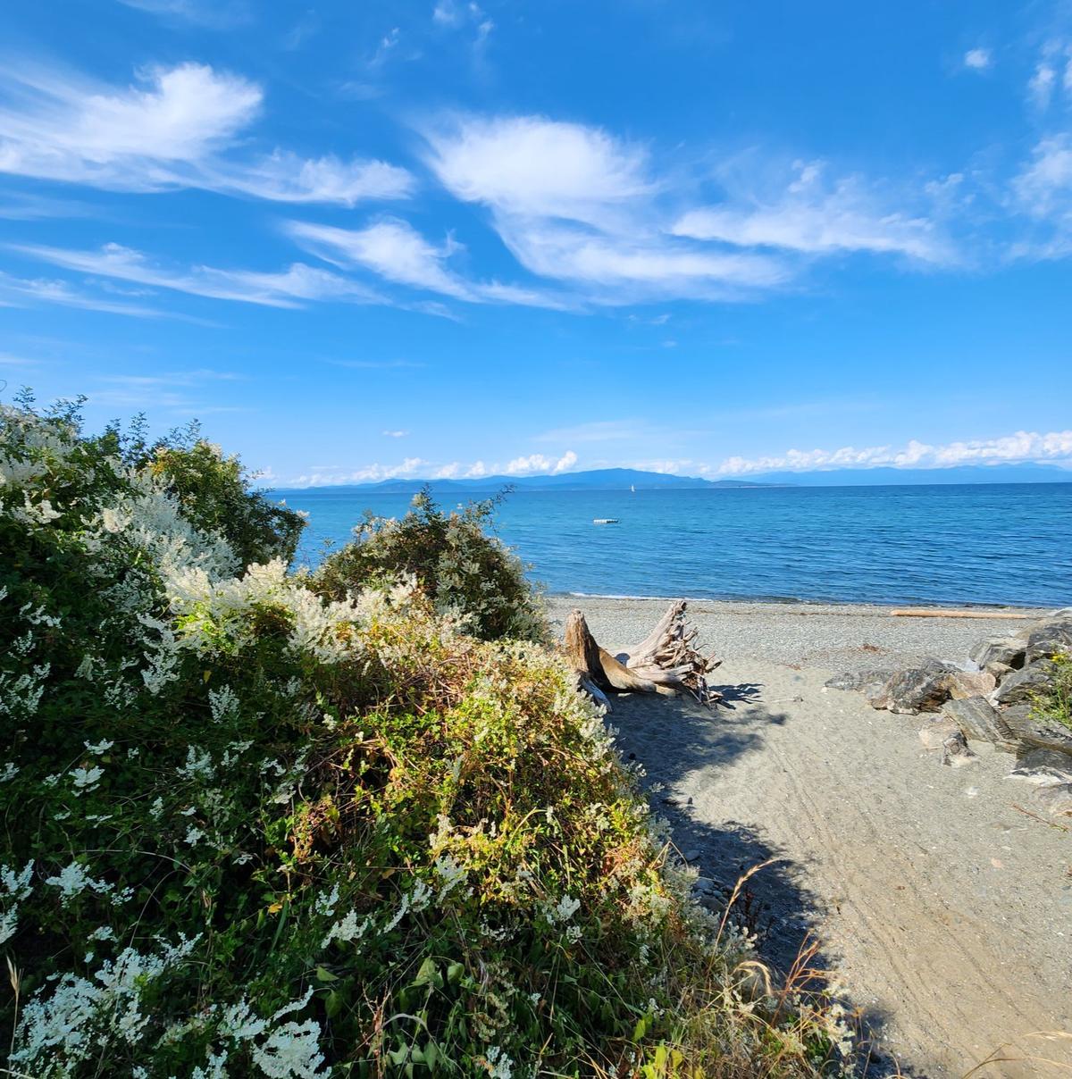 Living in Bowser and Deep Bay Denise Hodgins PREC* eXp Realty Can...