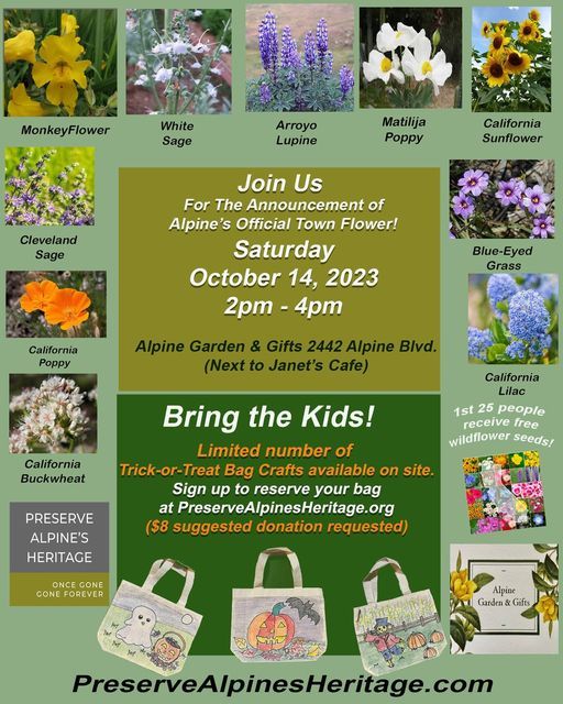 Fun In Alpine This Weekend Alpine Town Flower Announcement