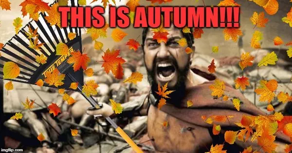 Fall Yard Work Tips and Tricks!  ,John Reuter