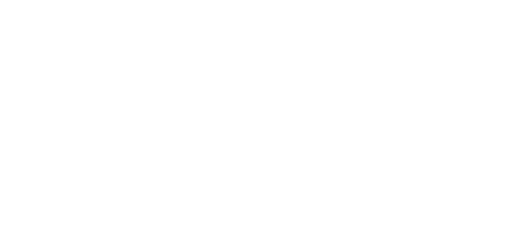 Real Broker LLC