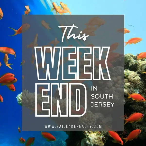 Ocean Tales and Science Adventures: A Weekend of Discovery in South Jersey,Michelle McMaster