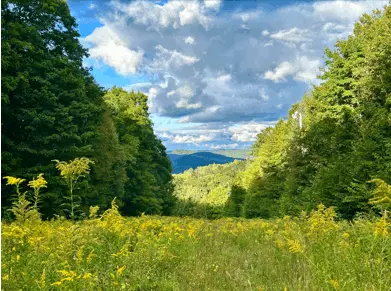 La valeur gagnée des unifamiliales se maintient dans les Laurentides 