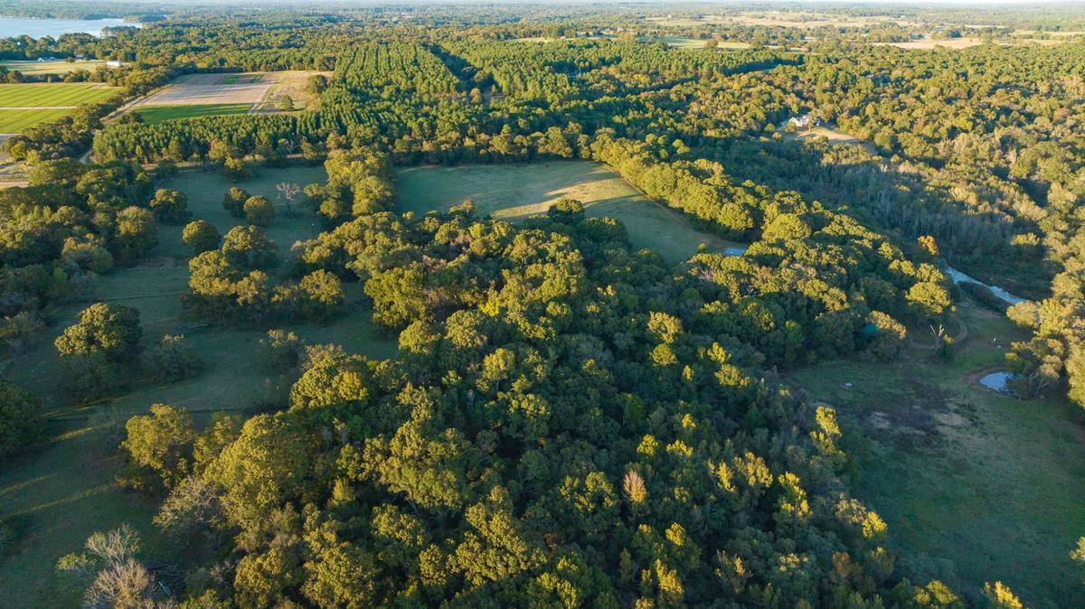 Texas Ranch Properties & Real Estate Ranch & Hunting Land for Sal...