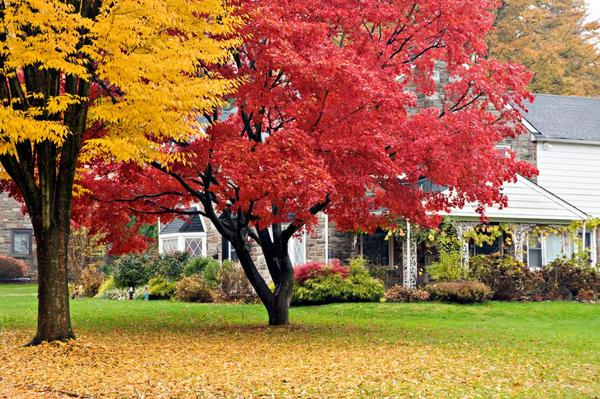Maximizing Listing Curb Appeal: Fall and Winter Gardening Tips for Gulf Coast Home Sellers,Bryan David