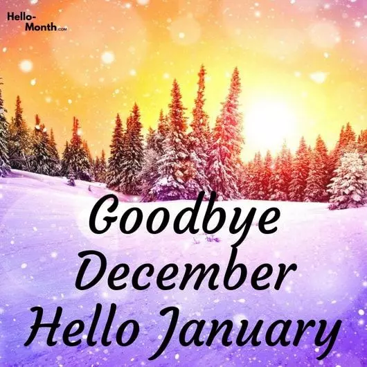 January -  "January, Did you Know",Leah Pellman