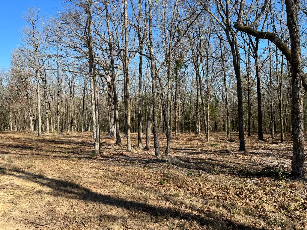 Lot 3 Wooded Lot for Sale Lindale TX Smith Co (8)