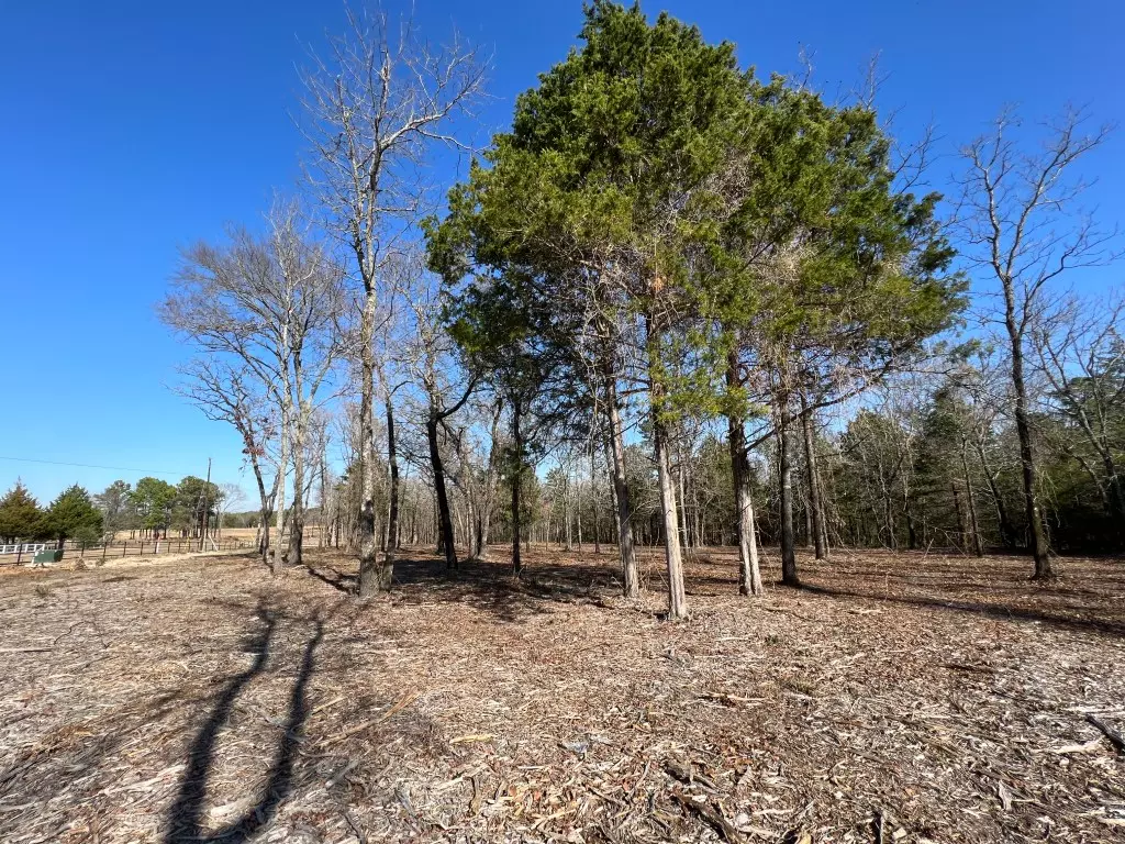 Lot 4 Wooded Lot for Sale Lindale TX Smith Co (5)
