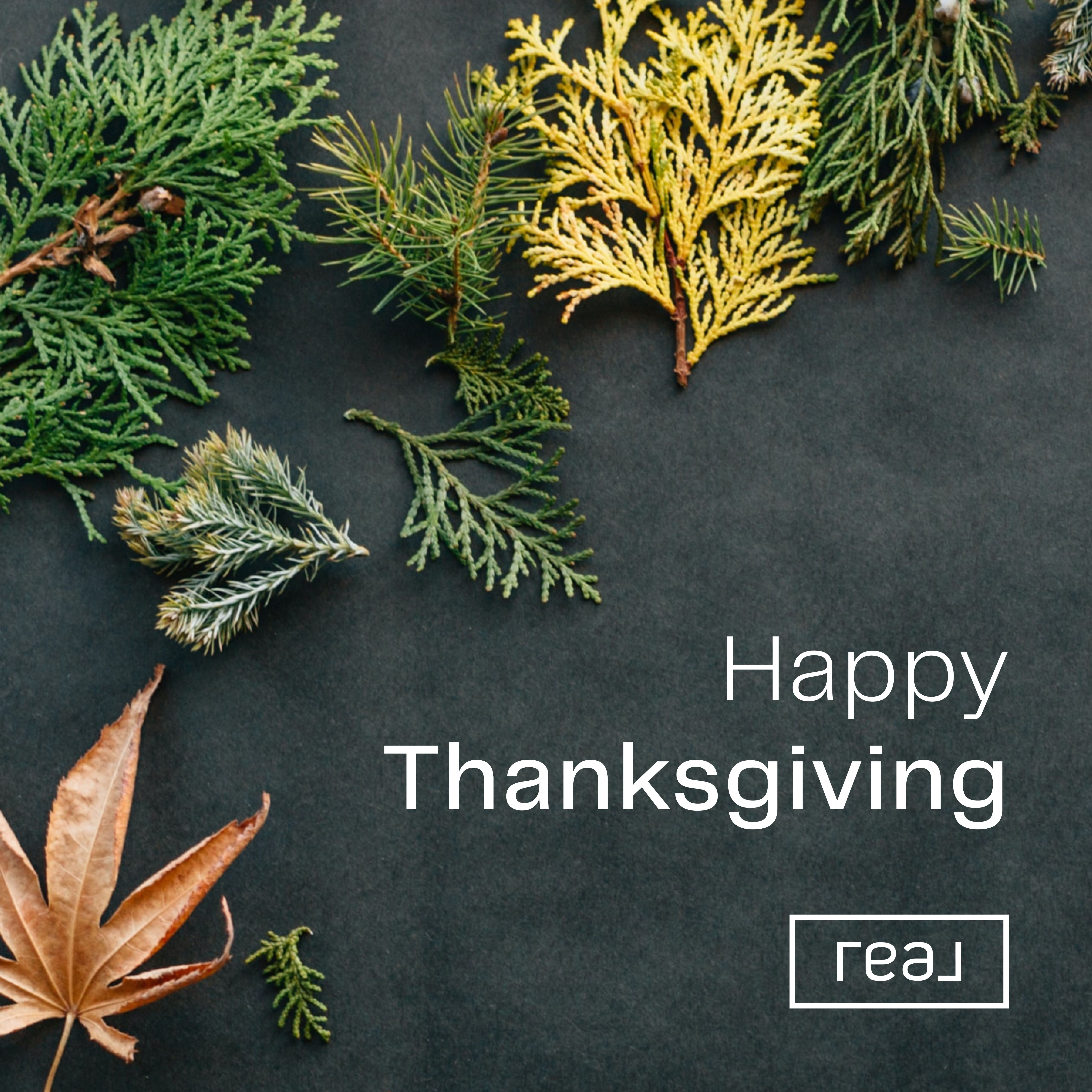 Wishing you a Happy Thanksgiving