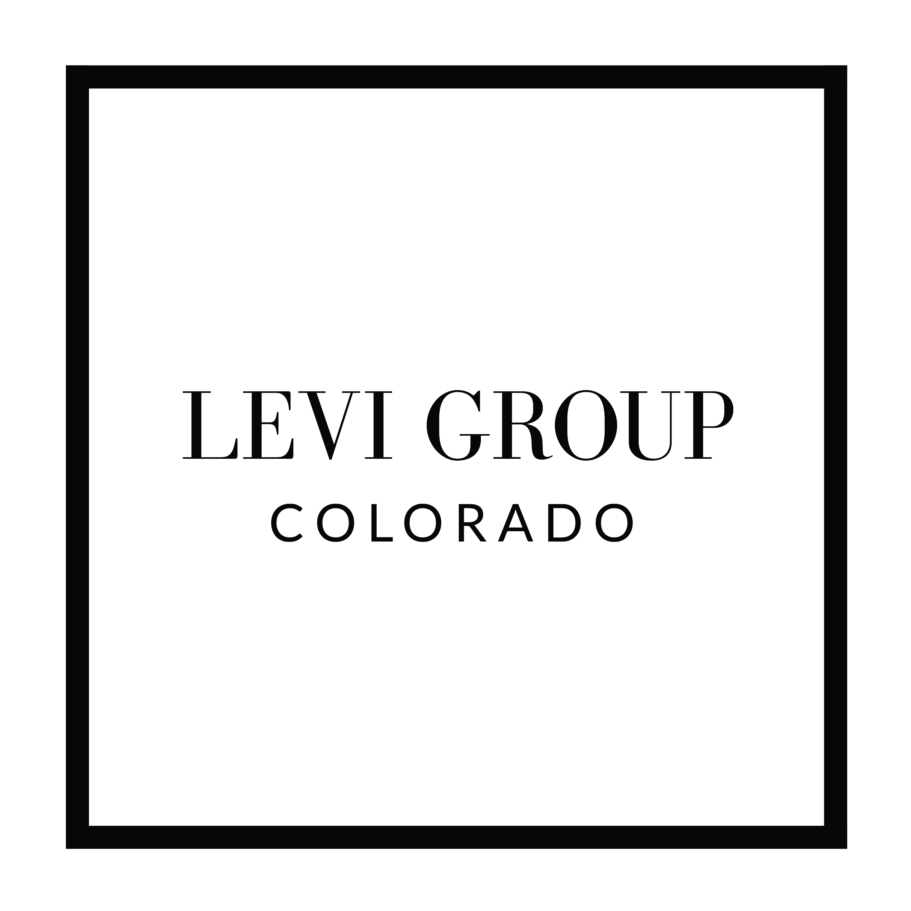 Levi group hotsell