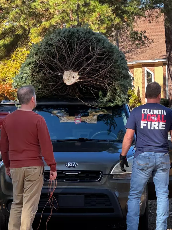 Live Christmas Tree Care,David Kafitz and George Schodowski