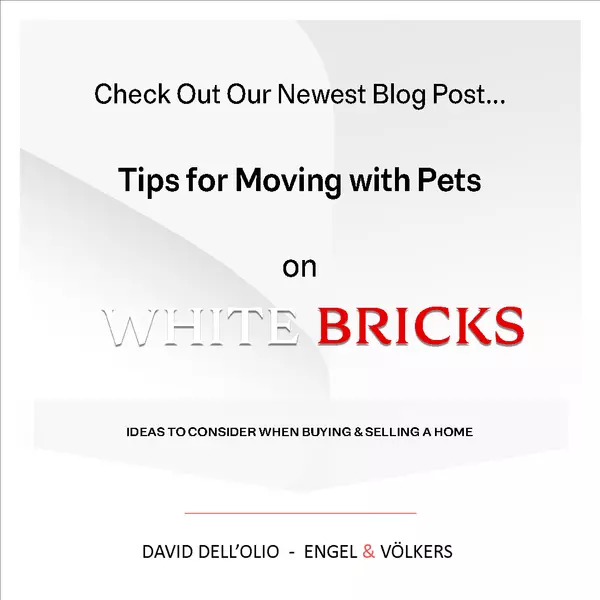 Tips for Moving with Pets,David Dell'Olio