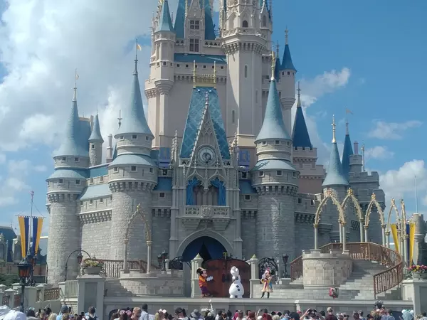 Magic Kingdom Castle