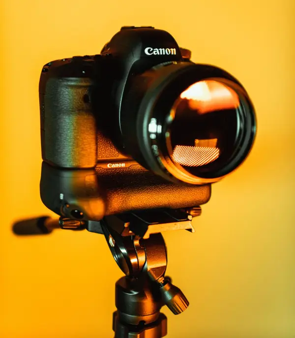 Getting Your Home Ready for the Photographer: Tips for Picture-Perfect Shots,Billee Silva, PA, ABR SRS
