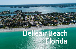 Homes for sale in Belleair Florida