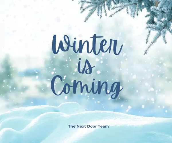 Winter in Colorado,Danielle Witte