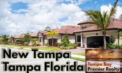 New Tampa FL Homes for Sale, Tampa Florida