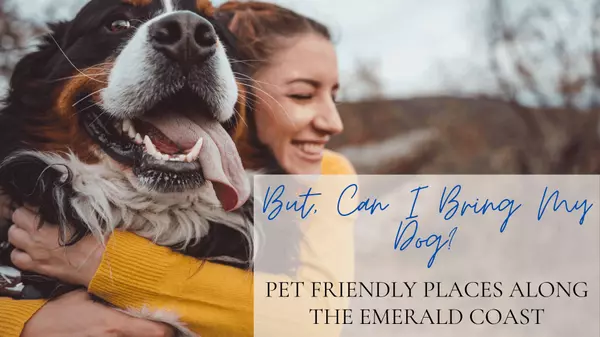 But, Can I Bring My Dog? - Pet Friendly Places Along the Emerald Coast