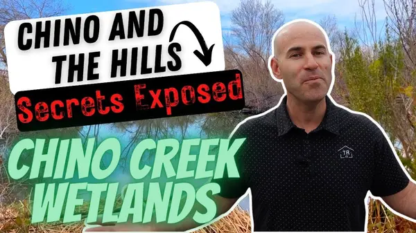 Chino Creek Wetlands: Chino and The Hills Secrets Exposed,Thomas Ryan