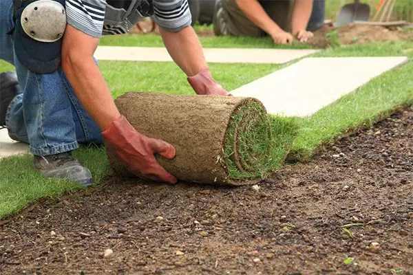 Tips for hiring a landscaper,Ana Bastas
