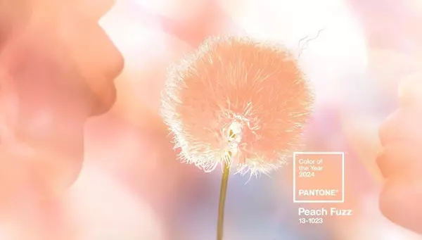 Pantone's 2024 Color of the Year: Embracing Compassion with Peach Fuzz,Billee Silva, PA, ABR SRS