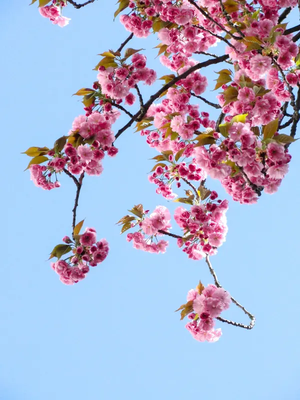 Spring Cleaning Tasks to Remember,Office Admin