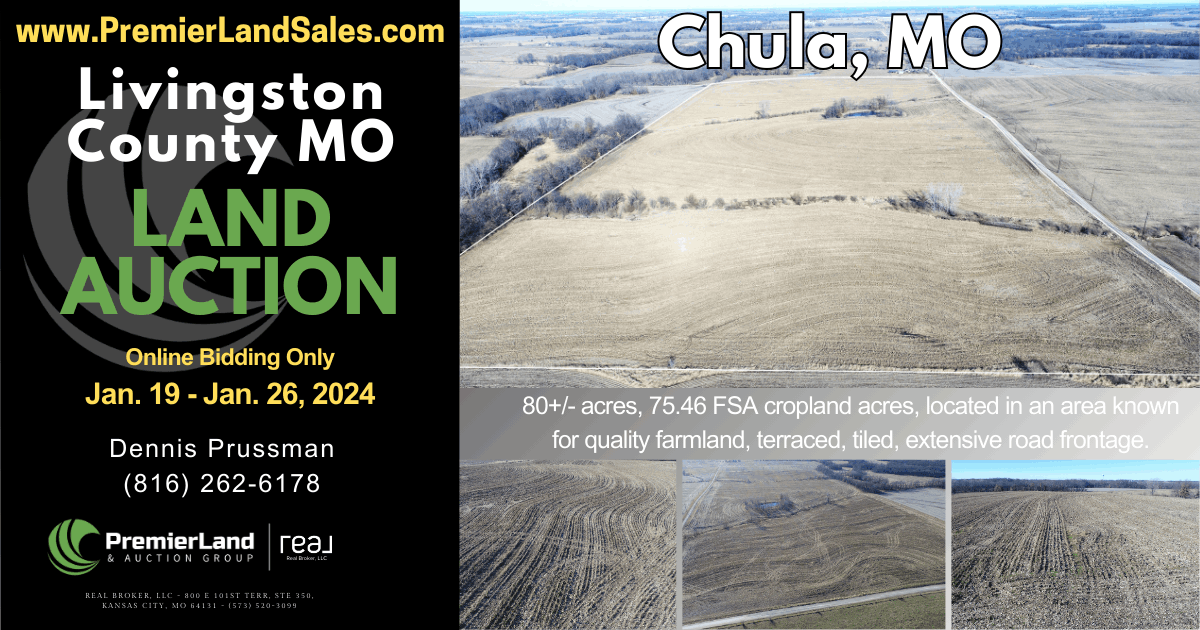 Real Estate Dennis Prussman Premier Land & Auction Group, Broke...