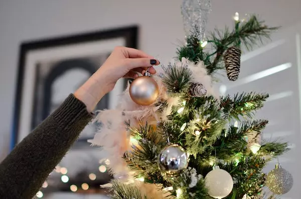 Decorating Your Home for the Holidays,Michelle McMaster