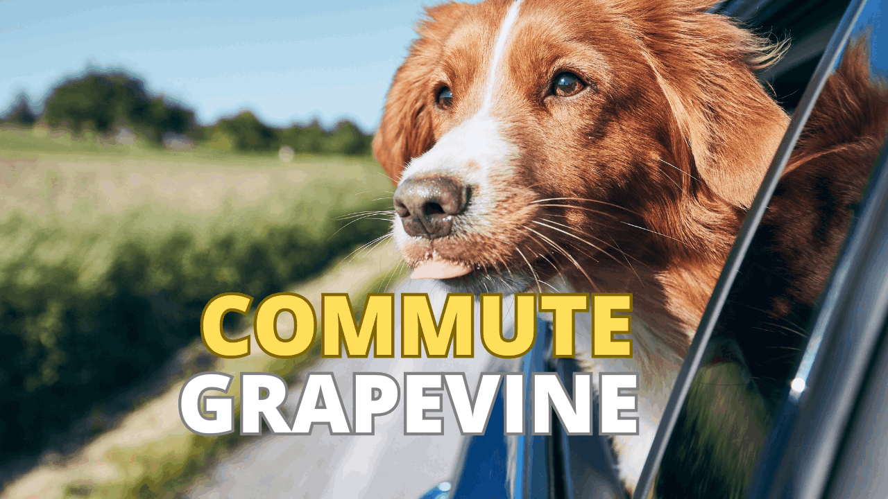 Commute and Accessibility in Grapevine Texas