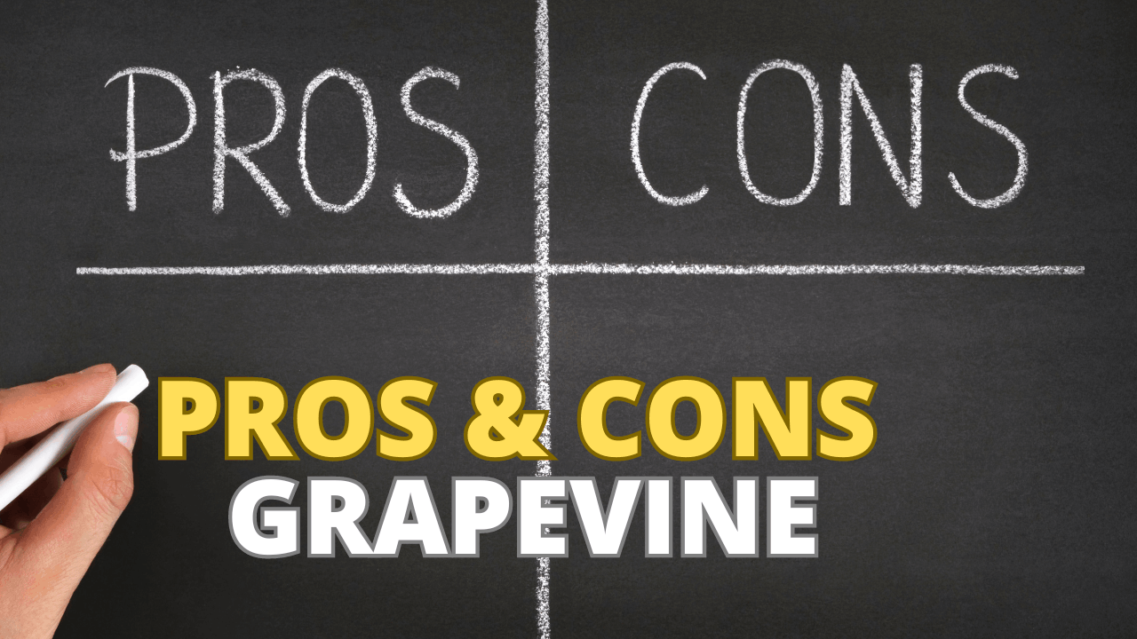 Pros & Cons of Living in Grapevine, Texas