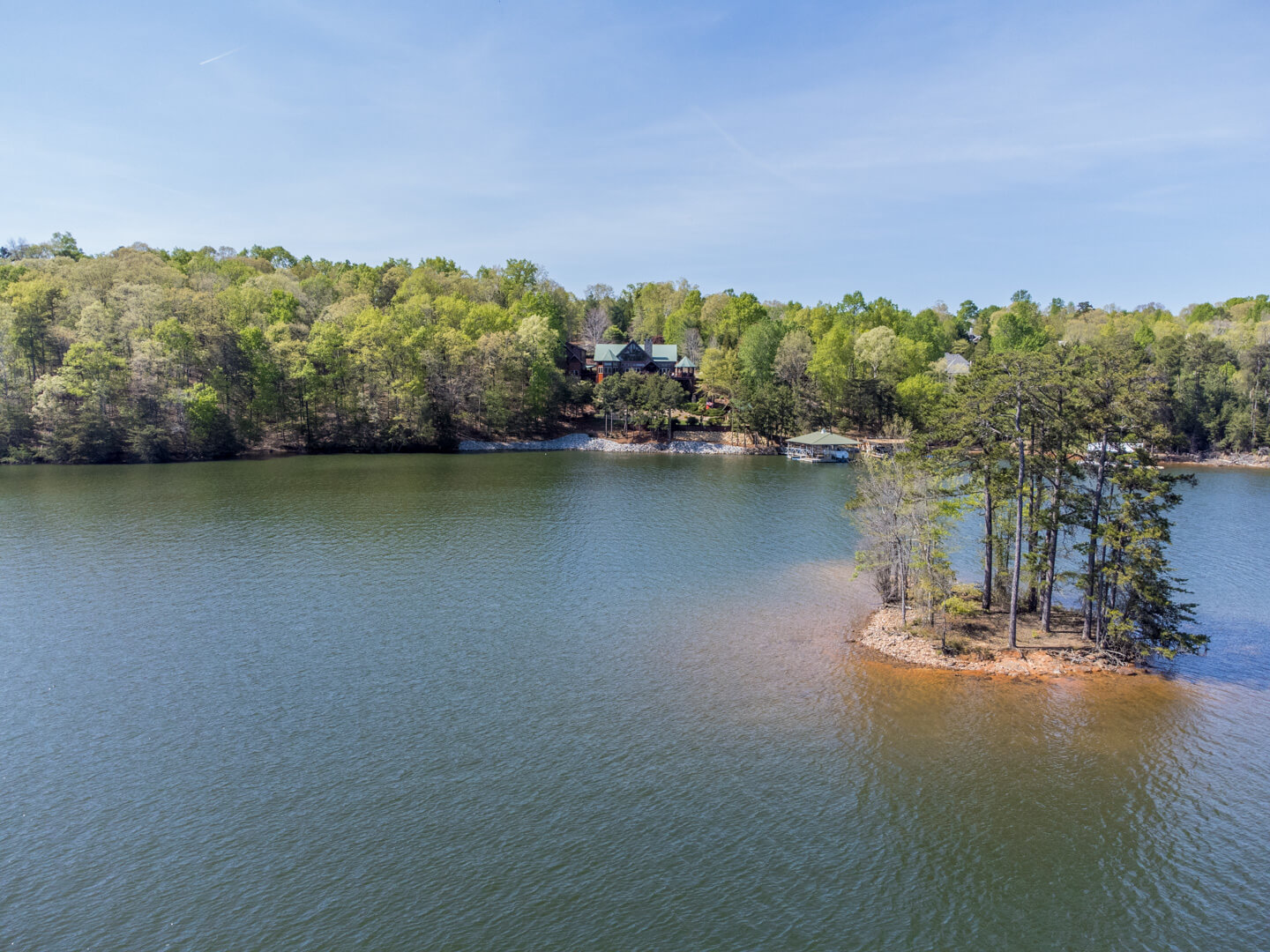 Homes on lake lanier