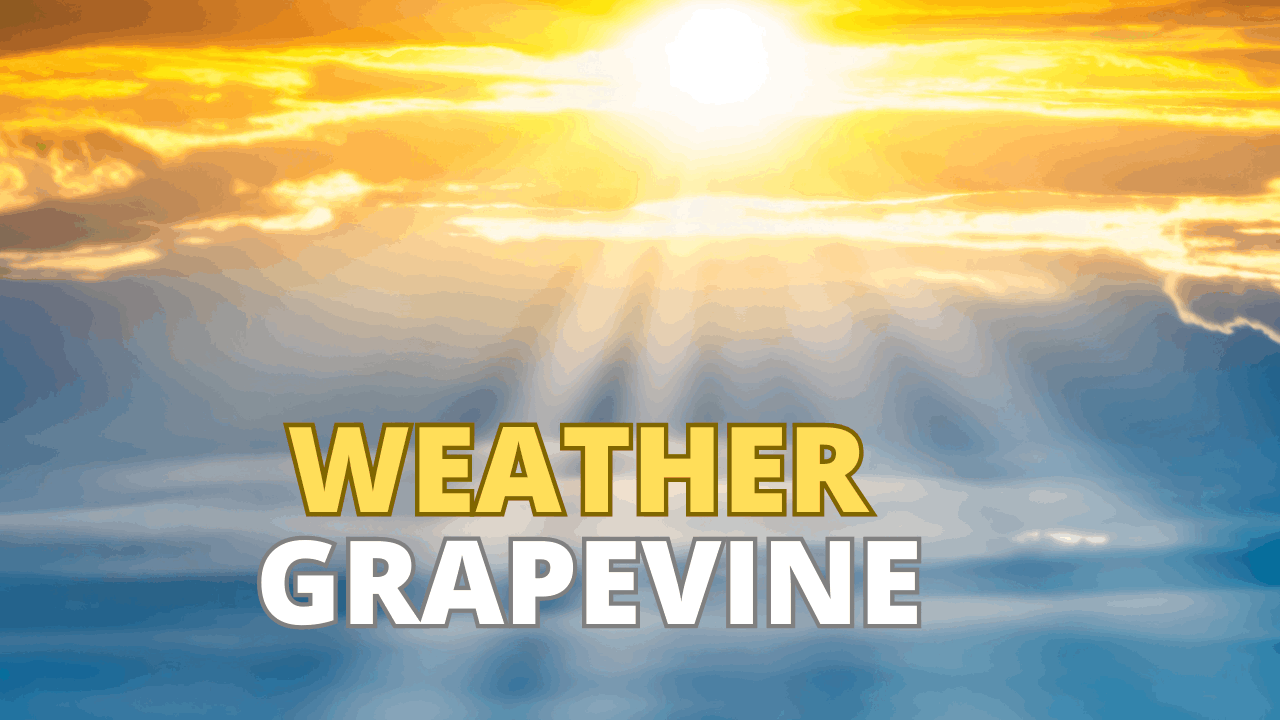 Weather in Grapevine TX