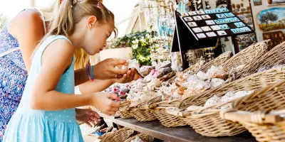 feature image of Things To Do In The Tampa Area