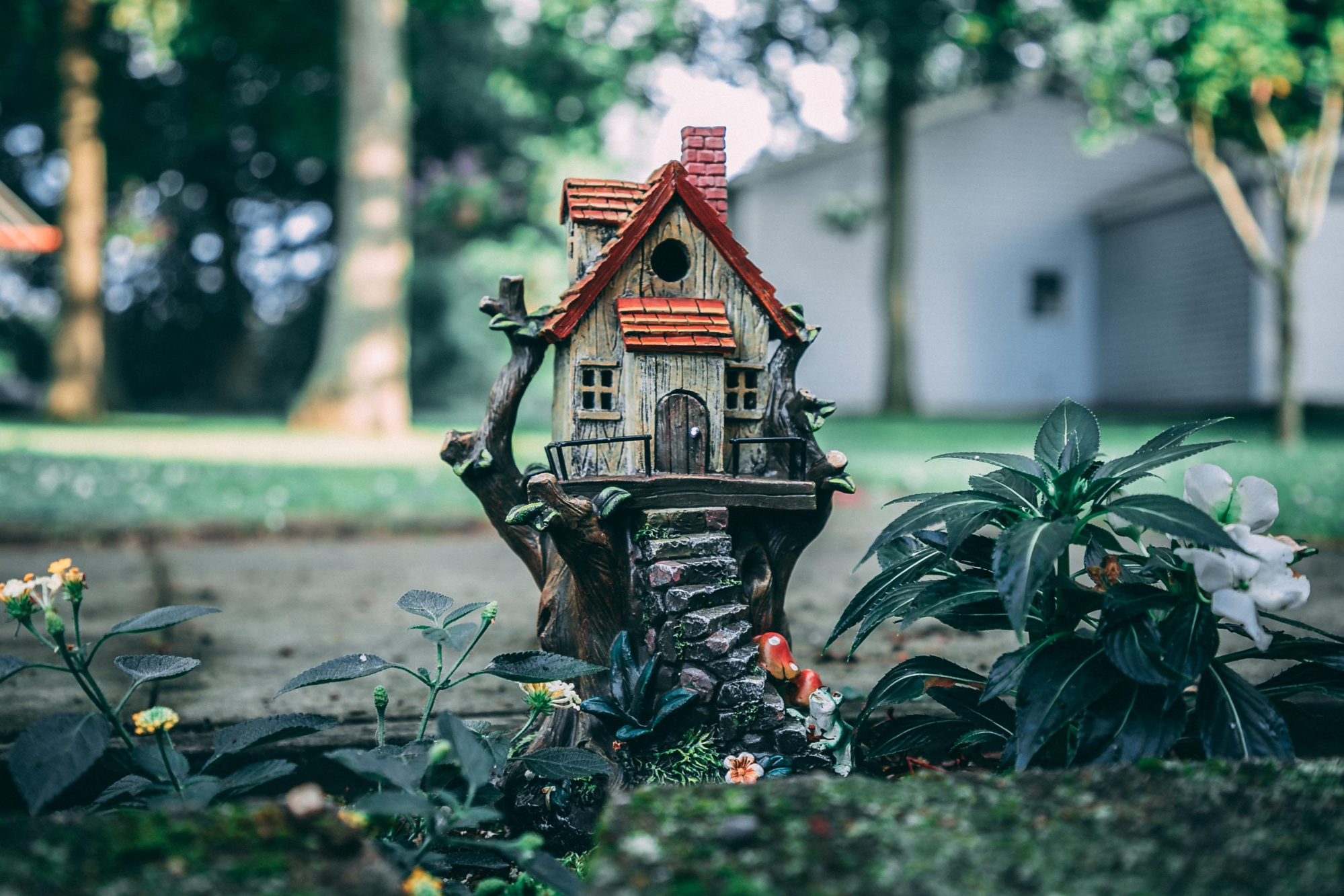 Photo of a bird house by David Gonzales