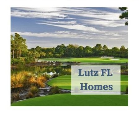 Lutz Florida Homes for Sale