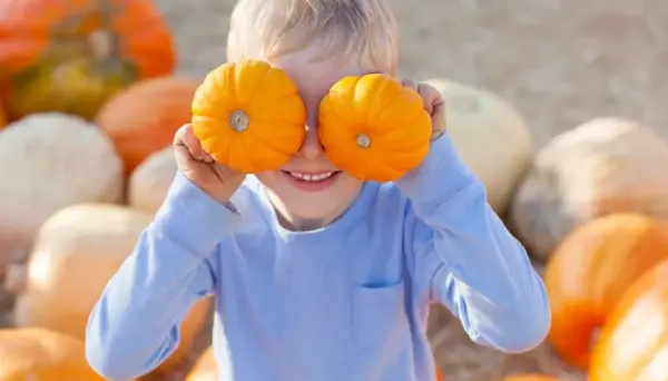 October Means it's Time for Pumpkins!,Office Admin