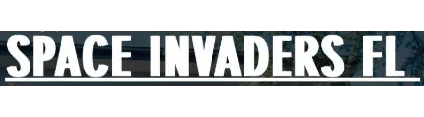 Space Invaders Florida