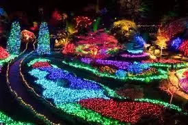 feature image of Buchart Gardens at Christmas 