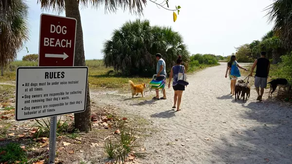 10 Best Places to Take Your Pet in St. Pete:,Morgan Ellis