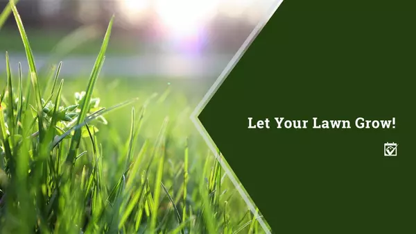 Let Your Lawn Grow! ,Shawanda Robinson