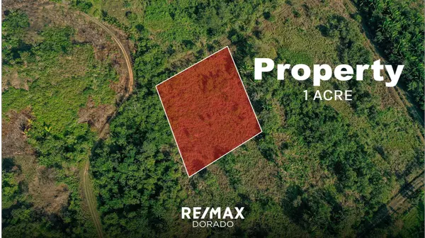 Belmopan City Belize,,1 Acre Vacant land- Las Lomas
