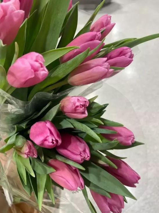 5 Things to do for Valentines Day in South Carolina,Nima Sherpa