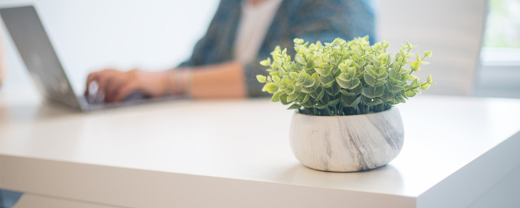5 Perfect Plants to Decorate Your Home Office