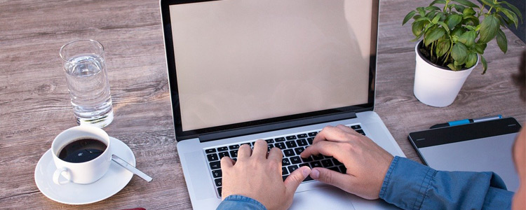 5 Perfect Plants to Decorate Your Home Office