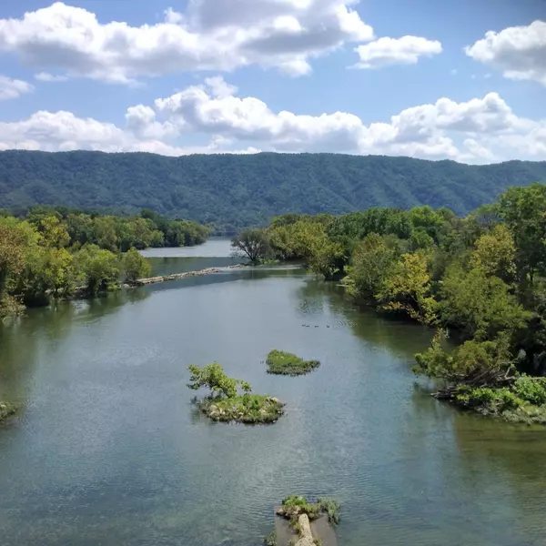 Spring time in the Tennessee River Valley