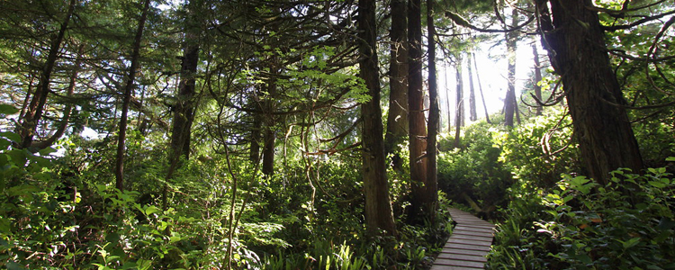 Moderate Hiking Trails In Kamloops, BC