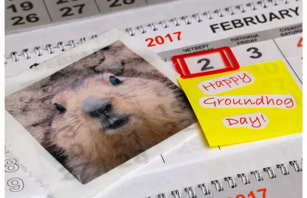 feature image of Groundhog Day!