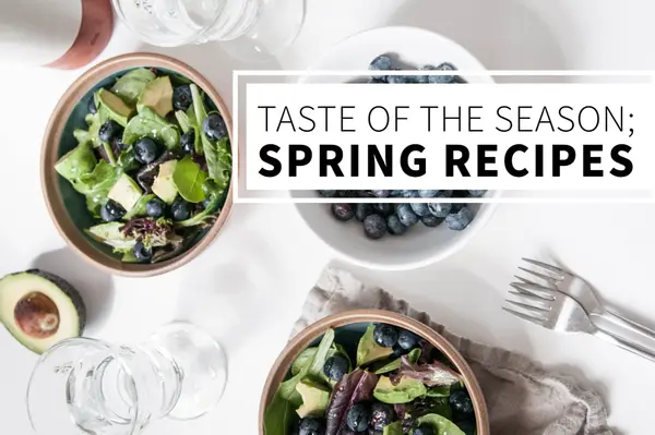 Taste of the Season; Spring Recipes,Bob Lucido Team