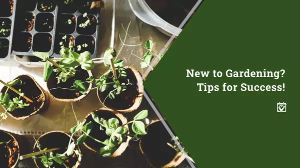 New to Gardening? Tips for Success!,Shawanda Robinson
