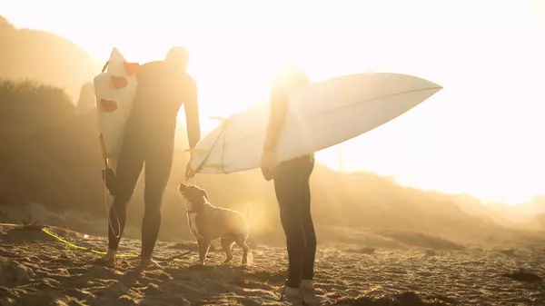 Pawsitively Perfect: The Top Dog-Friendly Beaches in Malibu for an Unforgettable Day with Your Furry Friend,Tristan Ahumada