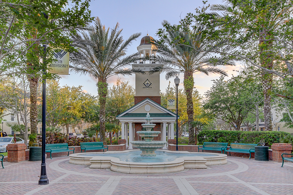 Best Parks in Westchase FL,Alison Connors